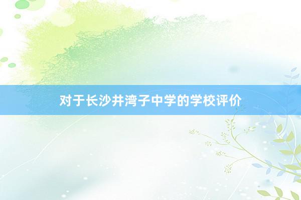 对于长沙井湾子中学的学校评价