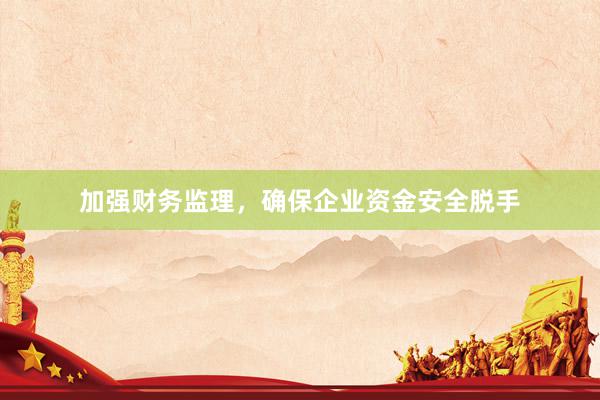 加强财务监理，确保企业资金安全脱手