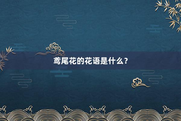 鸢尾花的花语是什么？