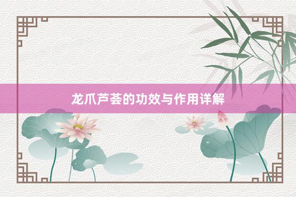 龙爪芦荟的功效与作用详解
