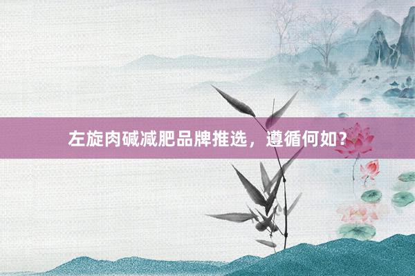 左旋肉碱减肥品牌推选，遵循何如？