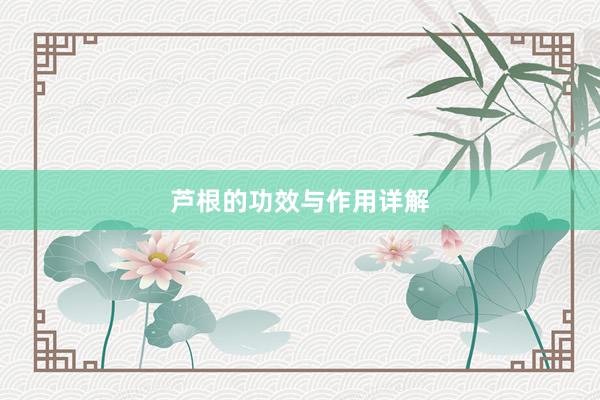 芦根的功效与作用详解